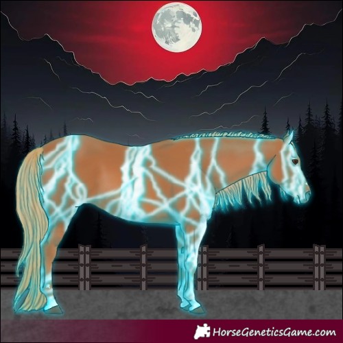 Horse Color:Thunderstruck Chestnut 