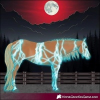 Horse Color:Thunderstruck Chestnut 
