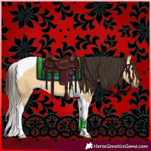 Horse Color:Buckskin Dun Tobiano 