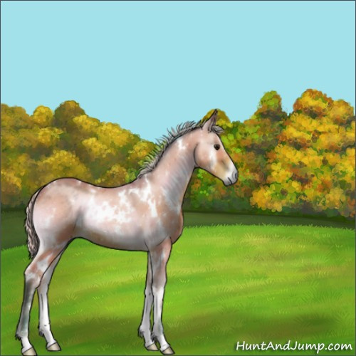 Horse Color:Watercolor White Spotted Silver Brown Onyx 