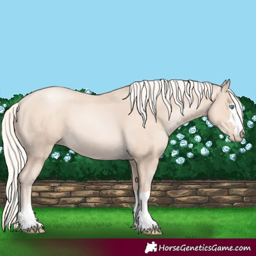 Horse Color:Gold Cream Champagne Pearl