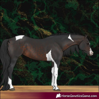 Horse Color:Brown Tobiano