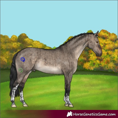 Horse Color:Brown Dun Sabino Tobiano Rabicano Brindle 