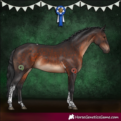 Horse Color:Brown Sabino Tobiano Rabicano 