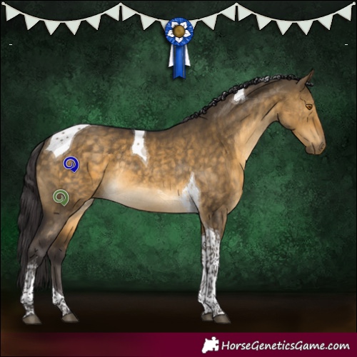 Horse Color:Buckskin Dun Sabino Tobiano Rabicano Brindle 