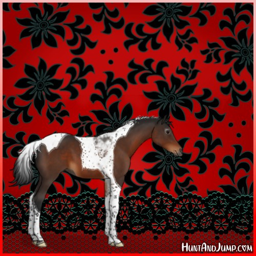 Horse Color:Gray Bay Tobiano 