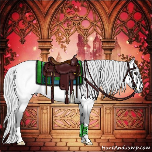 Horse Color:Platinum Silver Buckskin 