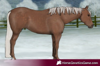 Horse Color:Silver Black 