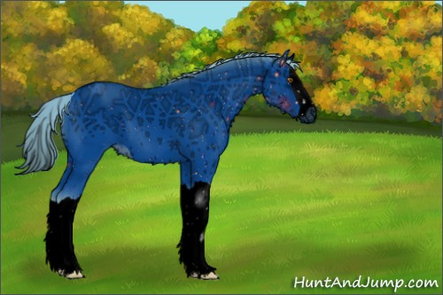 Horse Color:ERROR: UNKNOWN ANOMALY