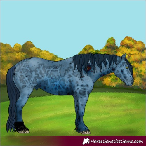 Horse Color:ERROR: UNKNOWN ANOMALY