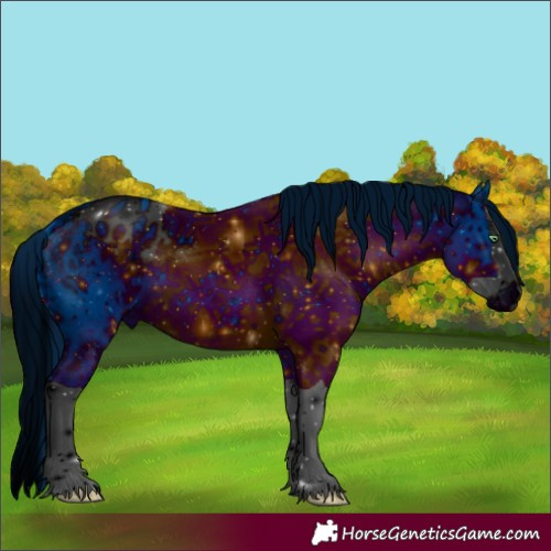 Horse Color:ERROR: UNKNOWN ANOMALY