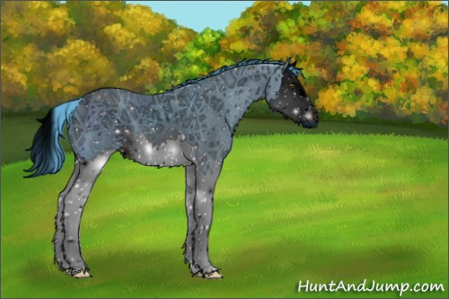 Horse Color:ERROR: UNKNOWN ANOMALY