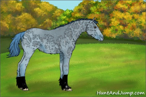 Horse Color:ERROR: UNKNOWN ANOMALY