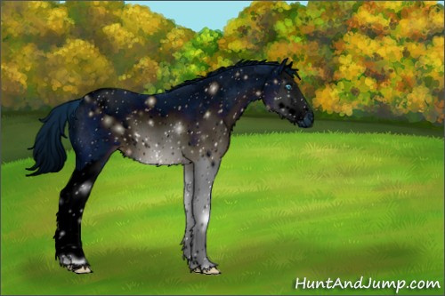 Horse Color:ERROR: UNKNOWN ANOMALY