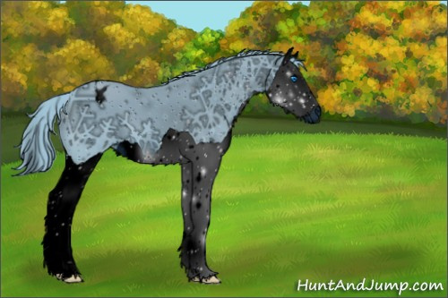 Horse Color:ERROR: UNKNOWN ANOMALY
