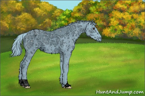 Horse Color:ERROR: UNKNOWN ANOMALY