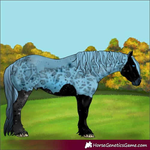 Horse Color:ERROR: UNKNOWN ANOMALY