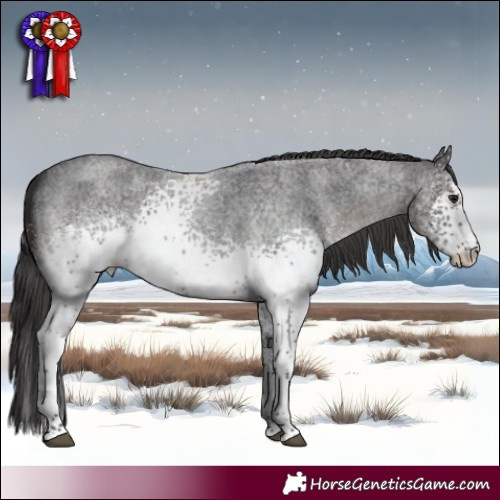 Horse Color:White Spotted Smoky Blue Roan