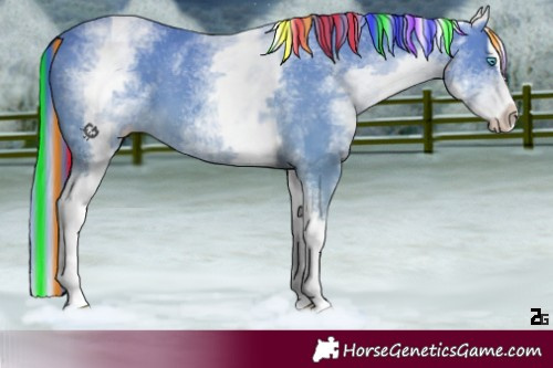 Horse Color:Painted White Spotted Perlino Splash