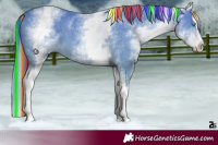 Horse Color:Painted White Spotted Perlino Splash