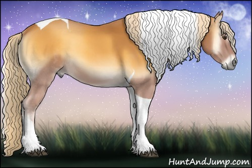 Horse Color:Palomino Onyx Tobiano 