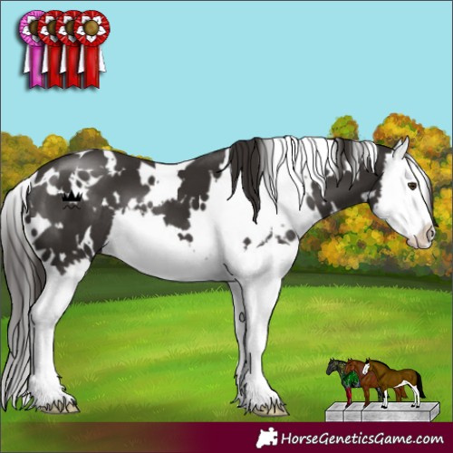 Horse Color:White Spotted Liver Chestnut Splash