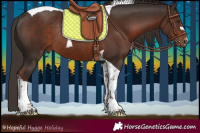 Horse Color:Liver Chestnut Tobiano Rabicano 
