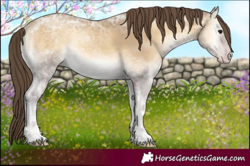 Horse Color:Classic Cream Champagne Ice Onyx