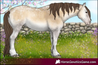 Horse Color:Classic Cream Champagne Ice Onyx 