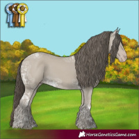 Horse Color:Classic Cream Champagne Ice 