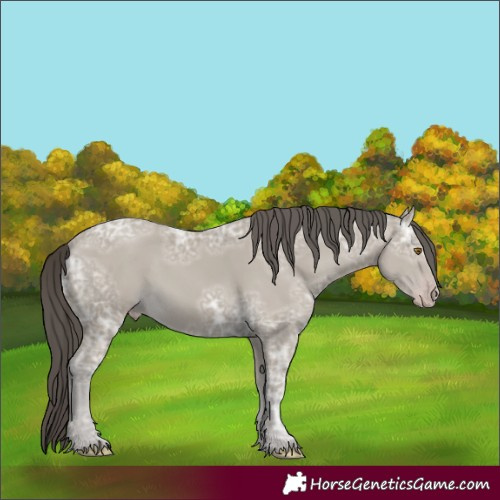 Horse Color:Classic Cream Champagne Ice 