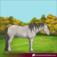 Horse Color:Classic Cream Champagne Ice 