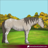 Horse Color:Classic Cream Champagne Ice 