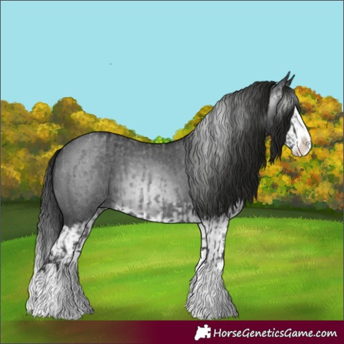 Horse Color:Blue Roan Sabino Splash and Gray Blue Roan Sabino Splash