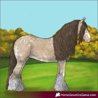 Horse Color:Classic Cream Champagne Ice 
