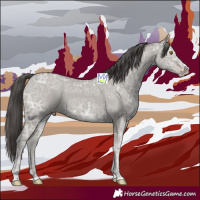 Horse Color:Classic Cream Champagne Ice 