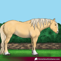 Horse Color:Palomino Dun 