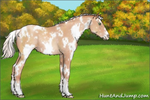 Horse Color:White Spotted Silver Sable Champagne Sabino Rabicano 