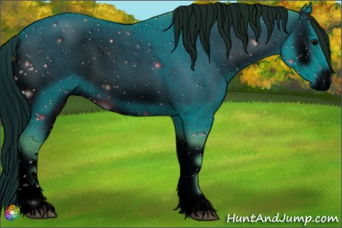 Horse Color:ERROR: UNKNOWN ANOMALY