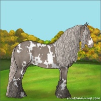Horse Color:White Spotted Silver Grullo Varnish 