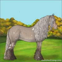 Horse Color:White Spotted Silver Grullo Varnish 