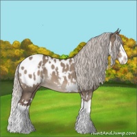 Horse Color:White Spotted Silver Grullo Splash Blanket 