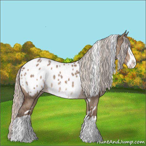 Horse Color:White Spotted Silver Grullo Splash Appaloosa 