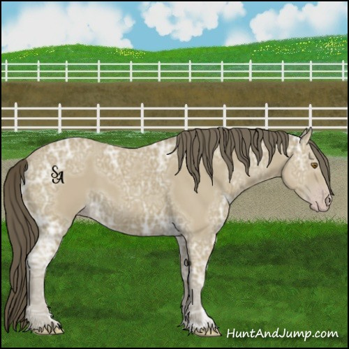 Horse Color:Classic Cream Champagne Ice 