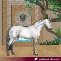 Horse Color:Gray White Spotted Brown Ice Roan 