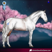 Horse Color:Gray Silver Bay Splash Tobiano 