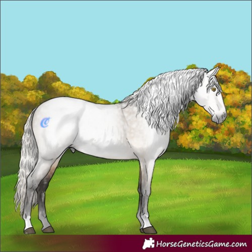 Horse Color:Gray Silver Buckskin Roan Dun