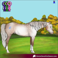 Horse Color:Gray Silver Sable Champagne Splash Rabicano 