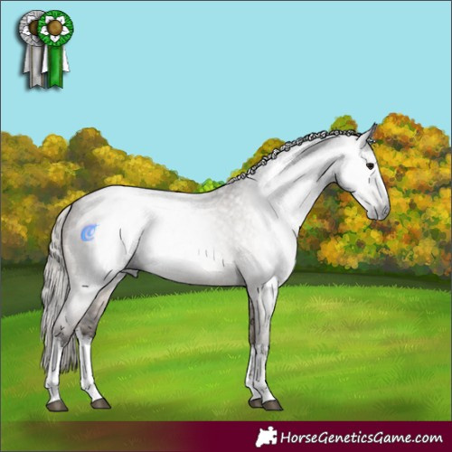 Horse Color:Gray White Spotted Silver Grullo Roan Rabicano