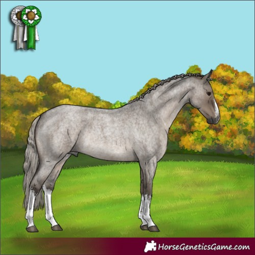 Horse Color:Gray White Spotted Silver Grullo Roan Rabicano 